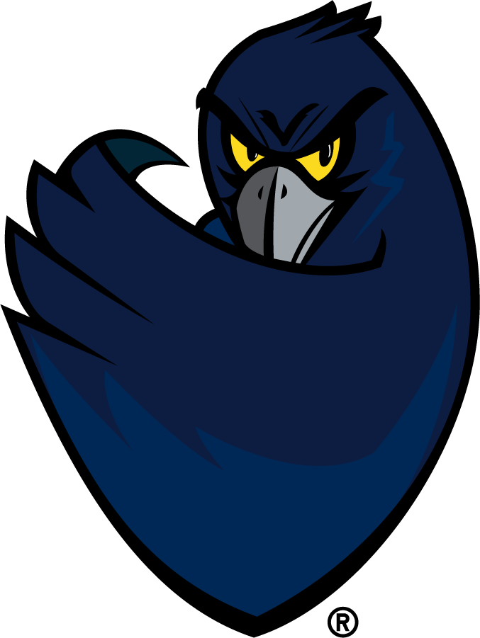 Monmouth Hawks 2003-2014 Secondary Logo diy iron on heat transfer